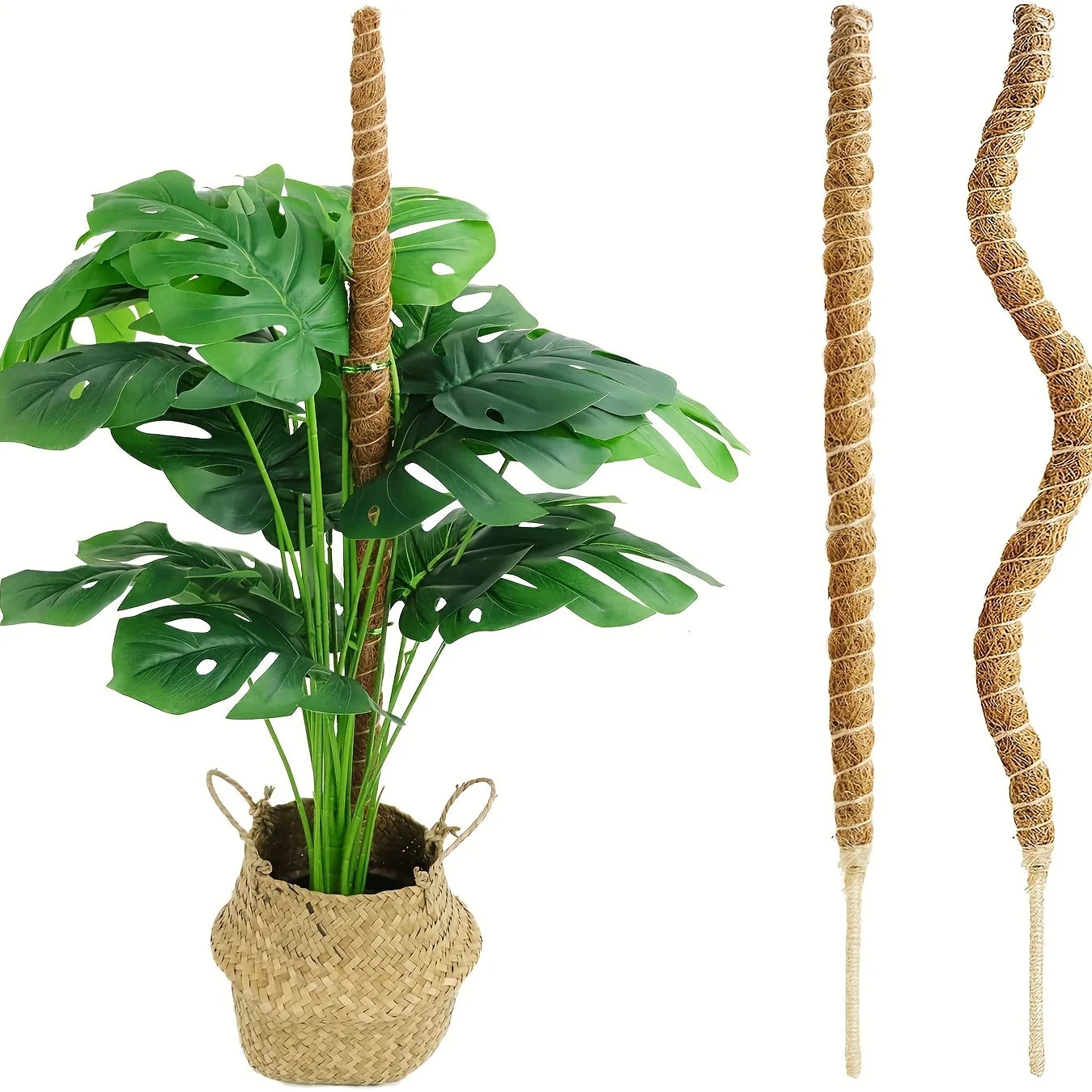 1 Pcs, Tall Moss Pole for Plants Monstera