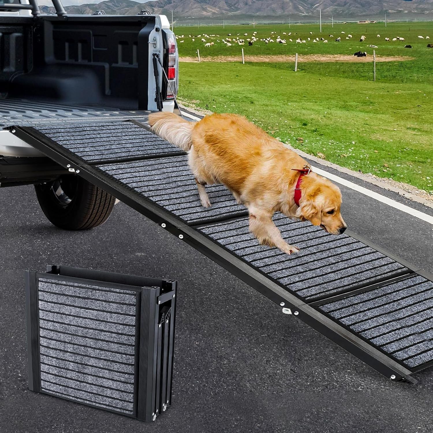 Protable Dog Ramp for Large Dogs