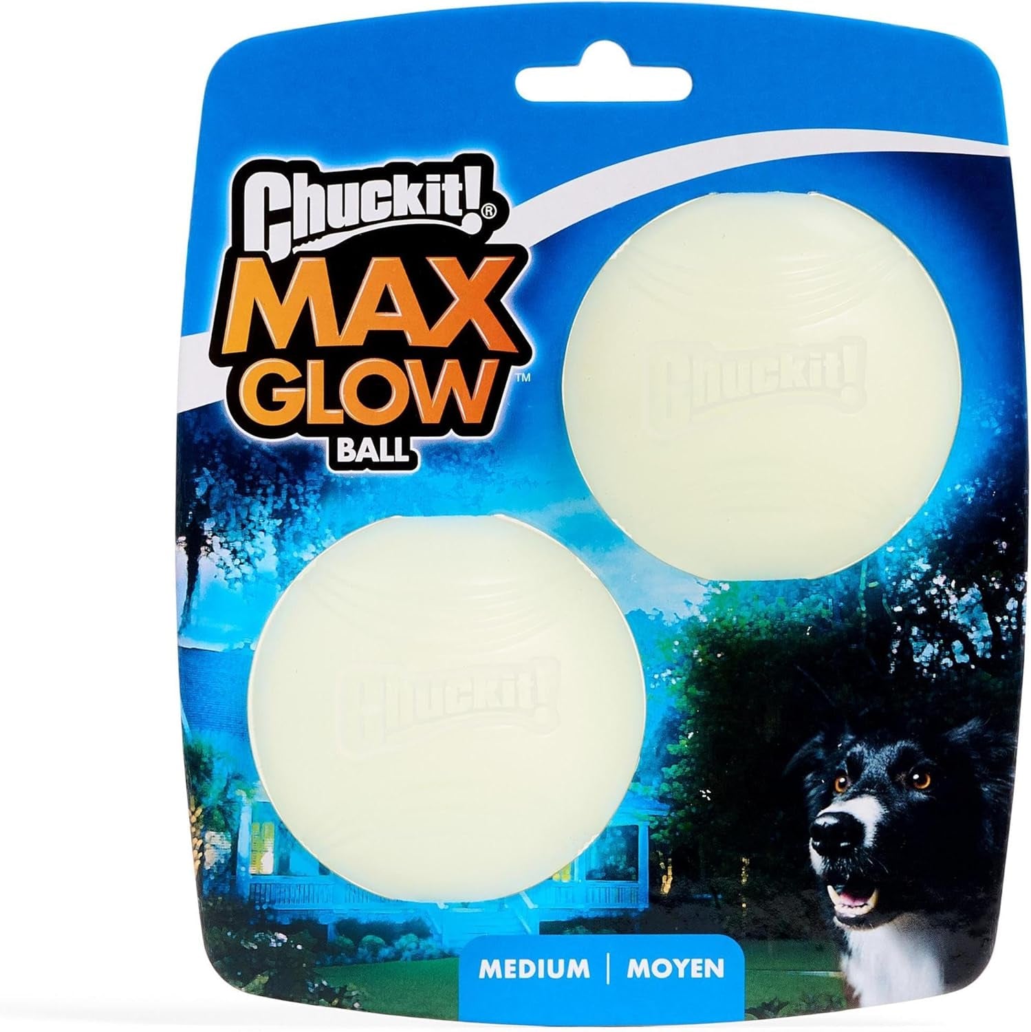 Dog Glow Ball 