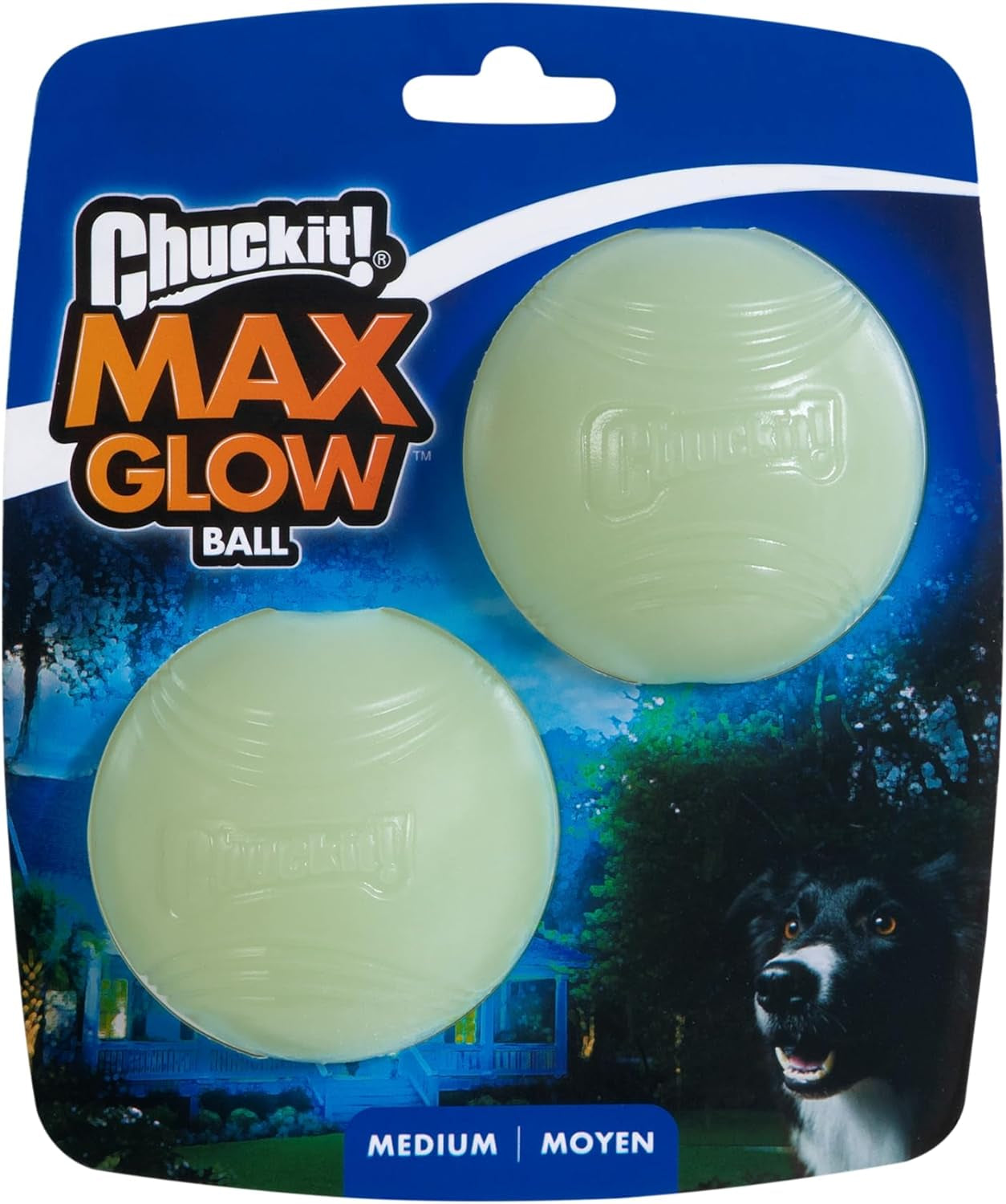 Dog Glow Ball 